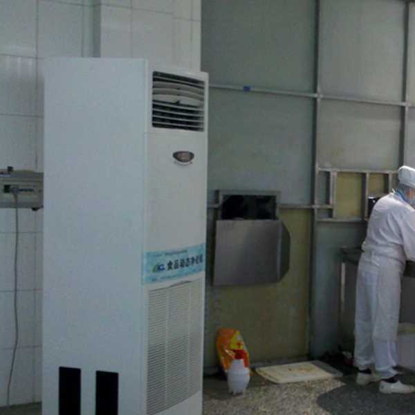 奉贤食品正负离子空气杀菌器